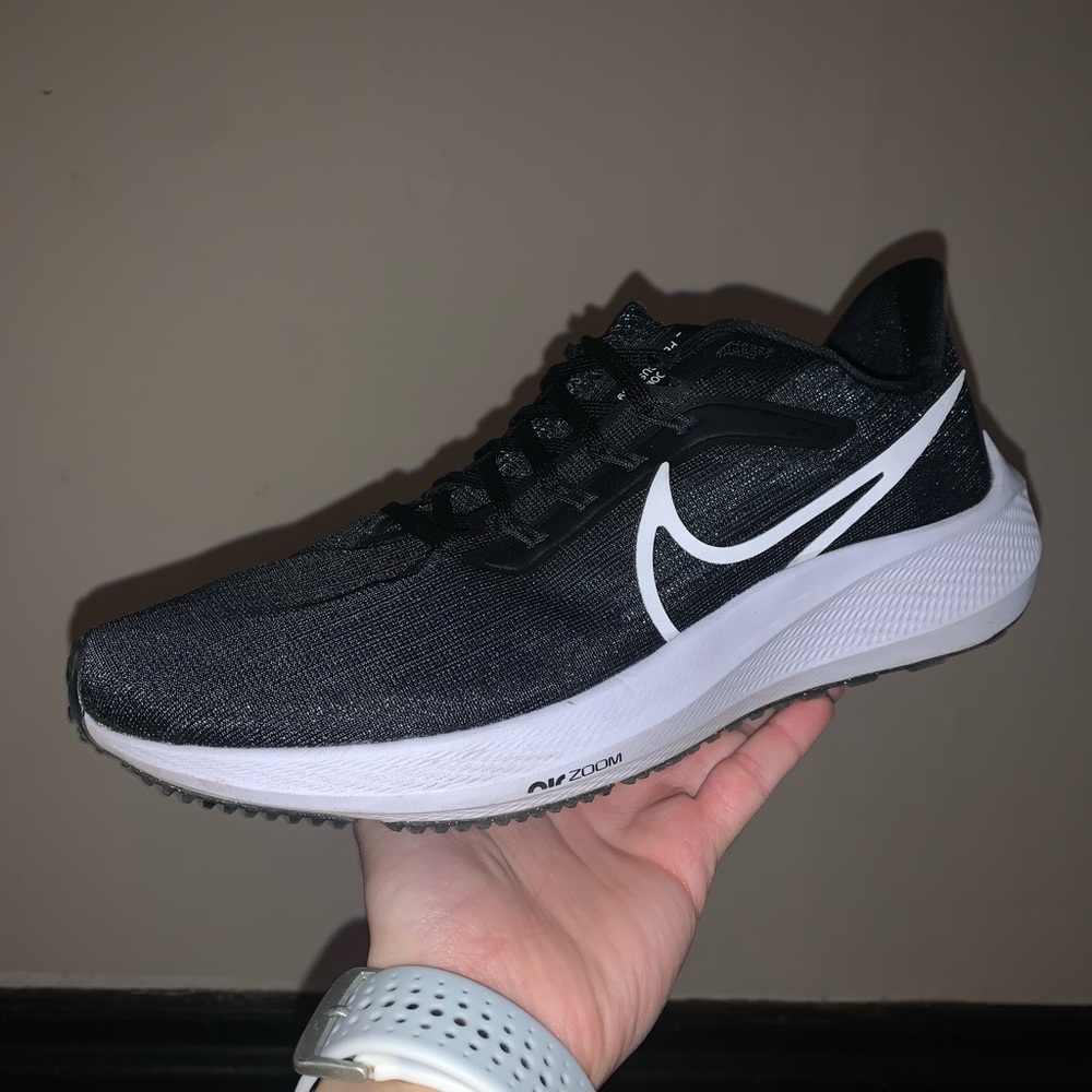 Nike Pegasus 39
